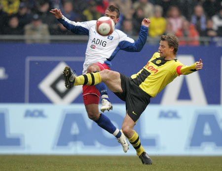 致森林狼最 致森林狼最